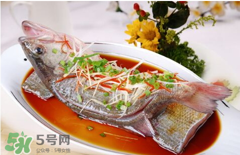 鱸魚為什么沒有刺？鱸魚為什么刺少？