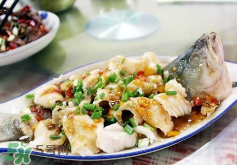 鱸魚為什么沒有刺？鱸魚為什么刺少？