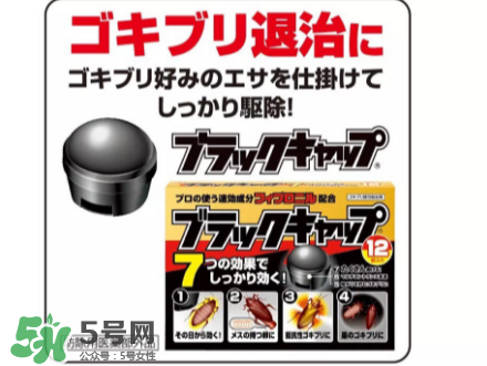日本蟑螂藥好用嗎？日本蟑螂藥效果評測