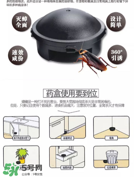 日本蟑螂藥好用嗎？日本蟑螂藥效果評測