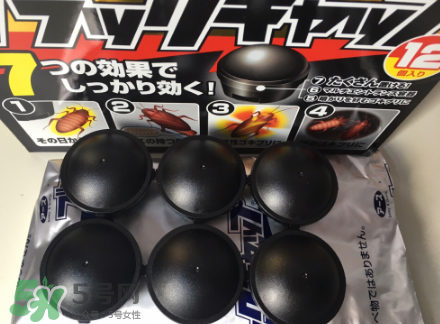 日本蟑螂藥哪里買得到？