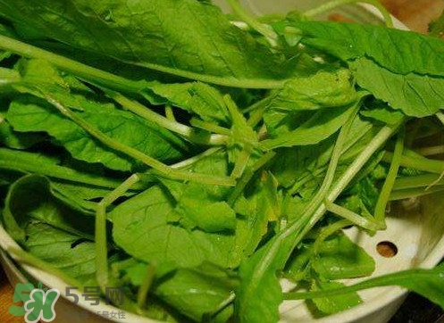 蘿卜纓孕婦能吃嗎？蘿卜纓可以生吃嗎