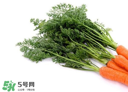 蘿卜纓能吃嗎？蘿卜纓怎么做好吃