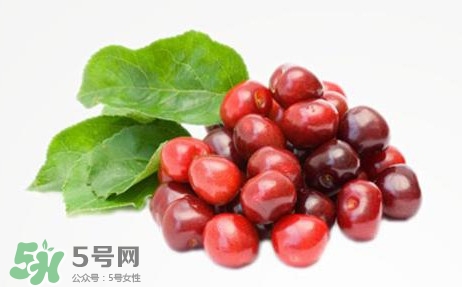 蔓越莓什么時候成熟？蔓越莓什么時候吃最好