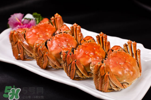 螃蟹冷凍還是冷藏保存？螃蟹冷凍保存多久？