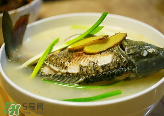 鯉魚湯怎么做好吃？鯉魚湯里面可以放什么？