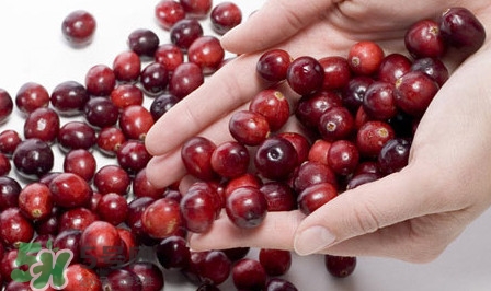 蔓越莓有什么作用？蔓越莓的功效與作用
