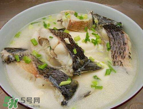 黑魚湯對傷口有好處嗎？黑魚湯的做法術(shù)后恢復(fù)