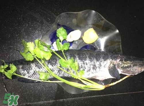 黑魚湯對傷口有好處嗎？黑魚湯的做法術(shù)后恢復(fù)