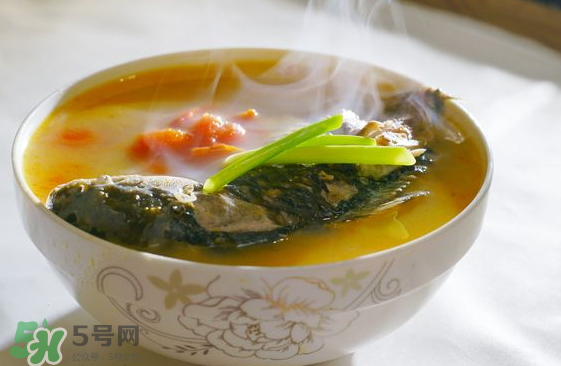 鯽魚湯可以放西紅柿嗎？西紅柿鯽魚湯的功效