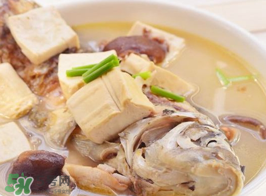 鯽魚(yú)湯可以放香菇嗎？香菇鯽魚(yú)湯的做法