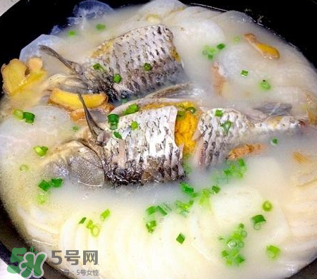 鯽魚湯可以放牛奶嗎？牛奶鯽魚湯的做法