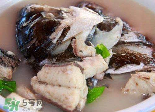 鰱魚湯怎么熬湯？鰱魚湯的功效與作用