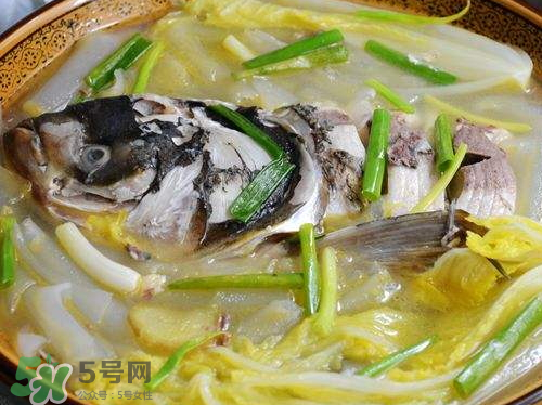 鰱魚湯怎么熬湯？鰱魚湯的功效與作用
