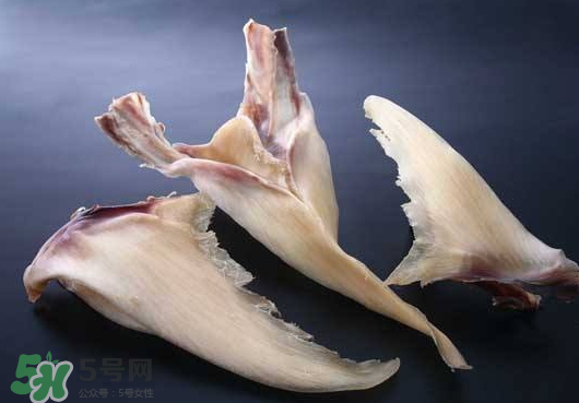 干魚翅怎么保存？魚翅可以放多久？