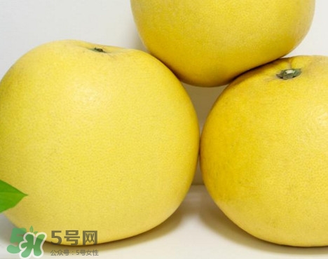 蜜柚是哪個(gè)季節(jié)的水果？蜜柚和沙田柚的區(qū)別是什么？