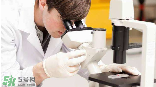 素浴口紅怎么樣？素浴口紅是什么牌子？