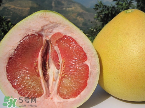 紅心蜜柚是不是轉(zhuǎn)基因？蜜柚是哪個(gè)地方的特產(chǎn)