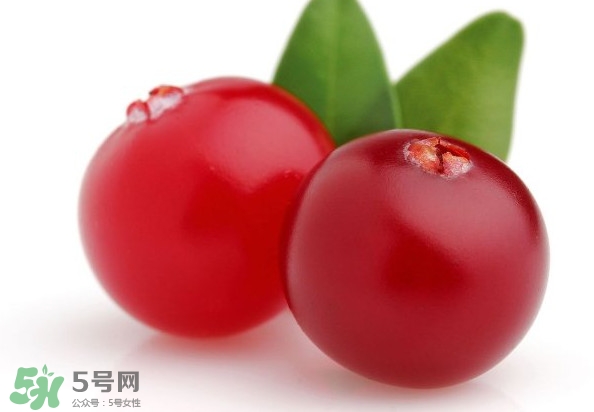 蔓越莓是藍(lán)莓嗎？蔓越莓是哪里產(chǎn)的