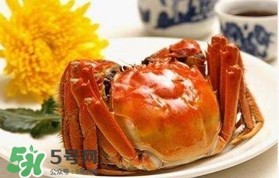 孕婦能吃蟹棒嗎？孕婦能吃什么海鮮？