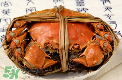 香辣蟹怎么做最好吃？香辣蟹怎么處理螃蟹？