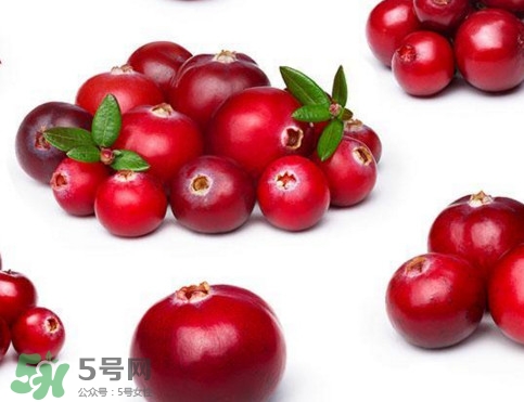 蔓越莓是藍(lán)莓嗎？蔓越莓是哪里產(chǎn)的