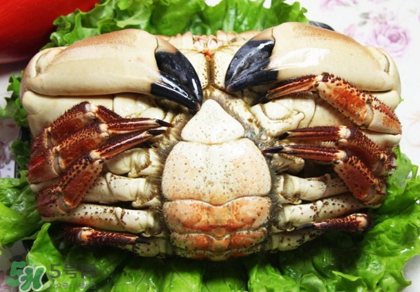 凍螃蟹蒸之前需要解凍嗎？?jī)鲶π氛舳嚅L(zhǎng)時(shí)間？