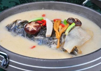 鰱魚湯怎么熬湯？鰱魚湯的功效與作用