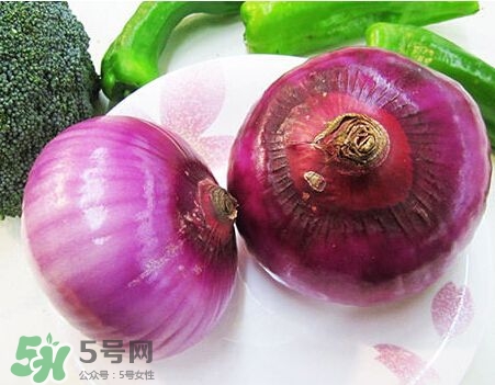 洋蔥狗狗能吃嗎？狗狗吃了洋蔥怎么辦？