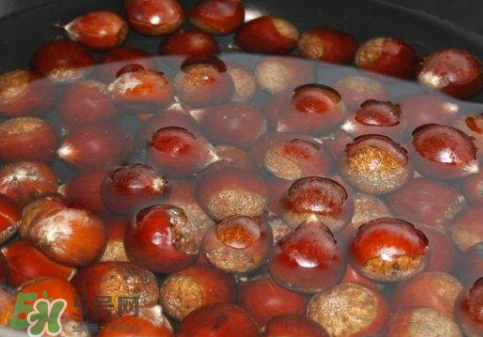 板栗用冷水還是熱水煮？煮板栗用冷水還是熱水？
