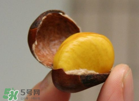 板栗用冷水還是熱水煮？煮板栗用冷水還是熱水？