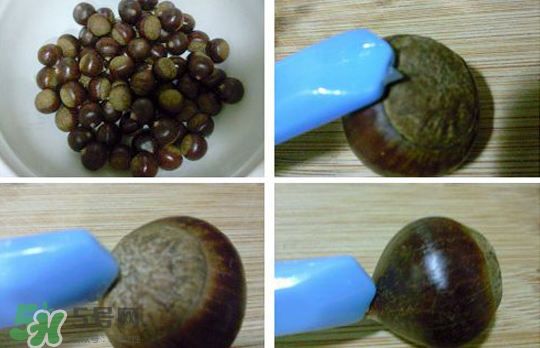 煮板栗要切口嗎？煮板栗怎么切口？