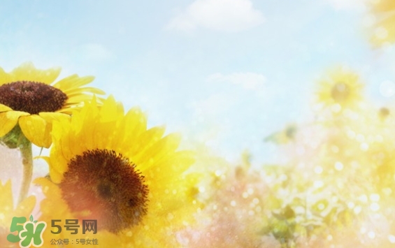 見封滾是什么意思？