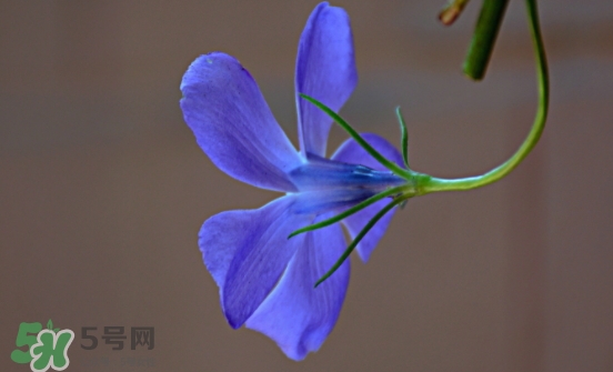 見封滾是什么意思？