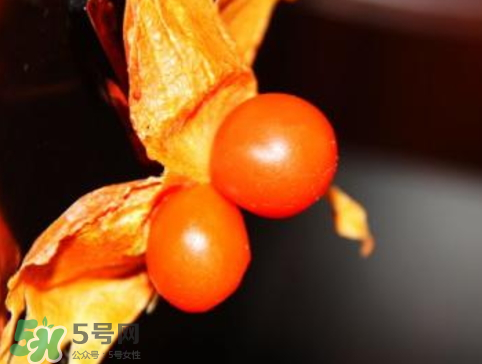 紅姑娘皮泡水治咽炎嗎？紅姑娘皮泡水的副作用