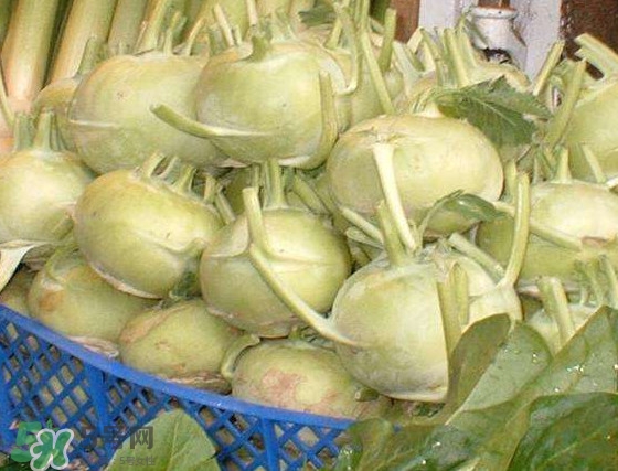 苤藍(lán)怎么腌制好吃？苤藍(lán)有什么營養(yǎng)