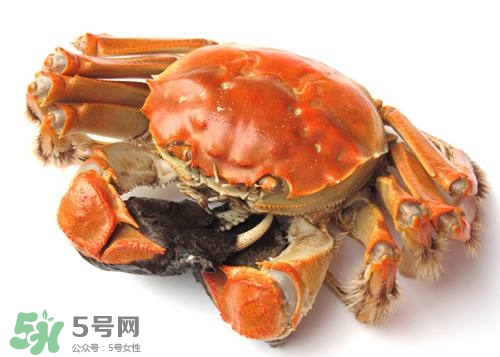 螃蟹里面有寄生蟲嗎？螃蟹有寄生蟲還可以吃嗎？