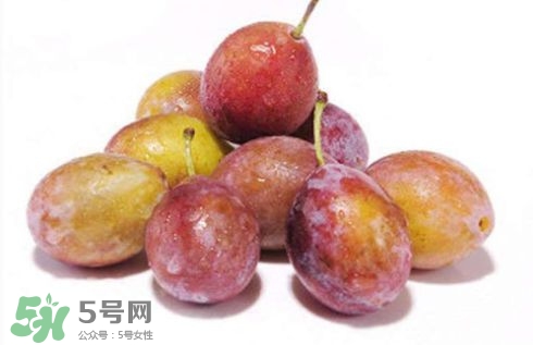 西梅可以放冰箱嗎？西梅放冰箱冷藏還是冷凍？