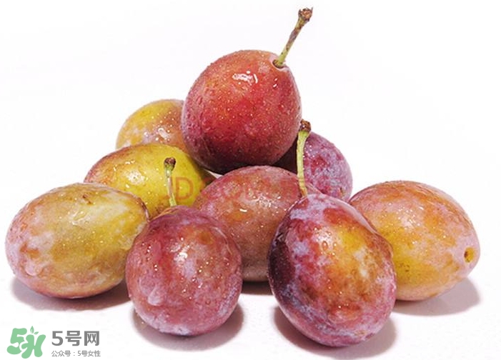 西梅汁怎么做？西梅汁的功效與作用 