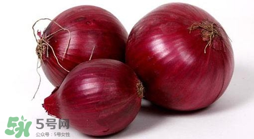 洋蔥狗狗能吃嗎？狗狗吃了洋蔥怎么辦？