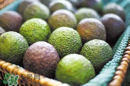 牛油果吃了對子宮好嗎？牛油果對子宮的好處