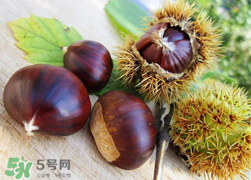 泡板栗酒用什么酒最好？板栗用什么酒泡最好？