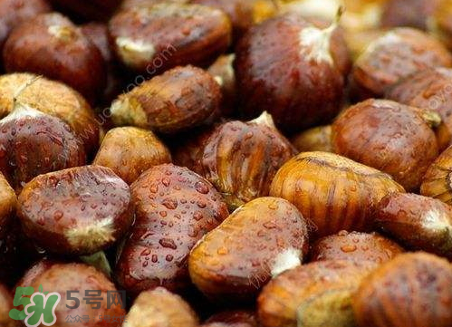 板栗泡酒真的能壯陽嗎？板栗泡酒有什么功效？