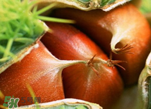 板栗泡酒要去皮嗎？板栗泡酒不去皮可以嗎？