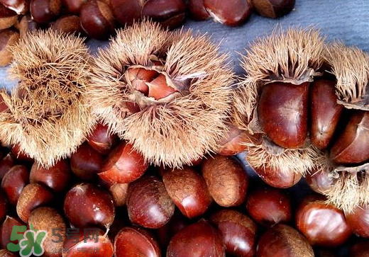 板栗泡酒要去皮嗎？板栗泡酒不去皮可以嗎？