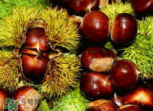 板栗泡酒要去皮嗎？板栗泡酒不去皮可以嗎？