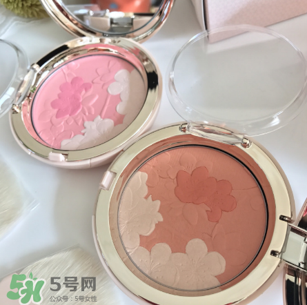 雪花秀腮紅多少錢？雪花秀腮紅價格