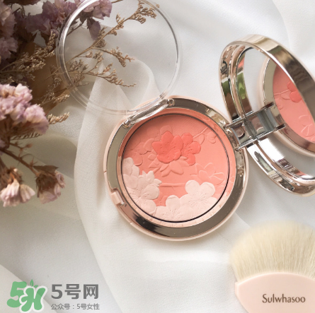 雪花秀腮紅多少錢？雪花秀腮紅價格