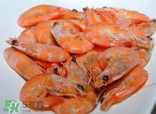 水煮蝦用什么蝦？水煮蝦要放鹽嗎？