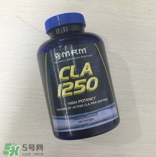 肌酸能和蛋白粉一起吃嗎？肌酸能長期服用嗎？